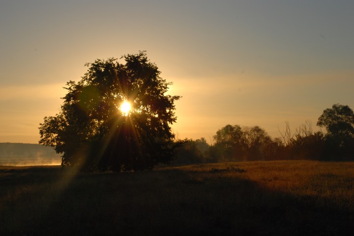 Sunrise